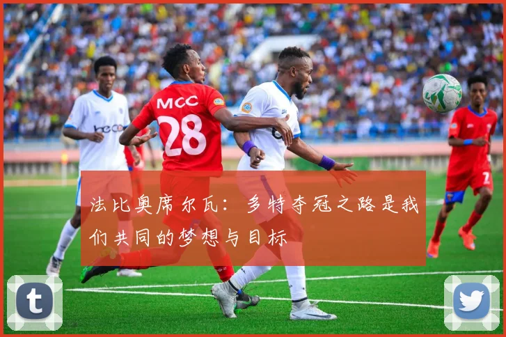 法比奥席尔瓦：多特夺冠之路是我们共同的梦想与目标